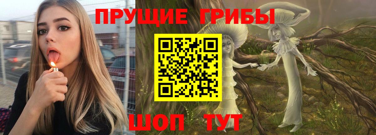 Псилоцибиновые грибы Psilocybine cubensis  Вход с VPN  Балтийск 